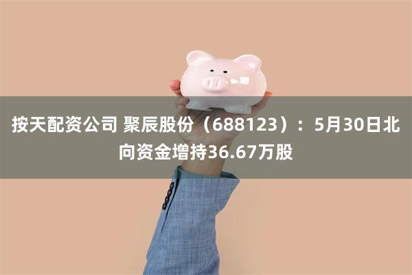 按天配资公司 聚辰股份（688123）：5月30日北向资金增持36.67万股