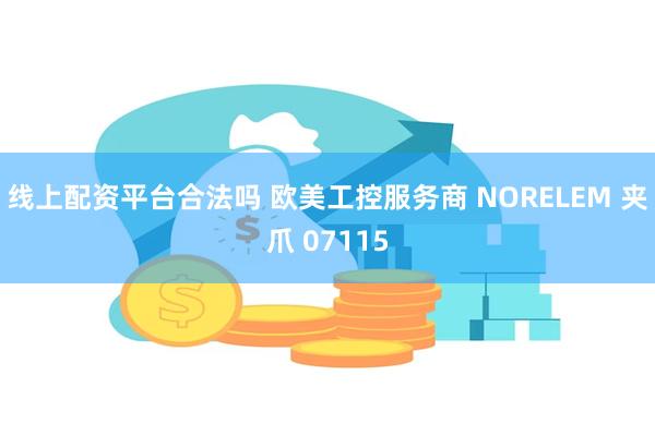 线上配资平台合法吗 欧美工控服务商 NORELEM 夹爪 07115