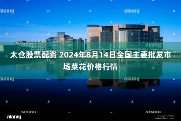 太仓股票配资 2024年8月14日全国主要批发市场菜花价格行情