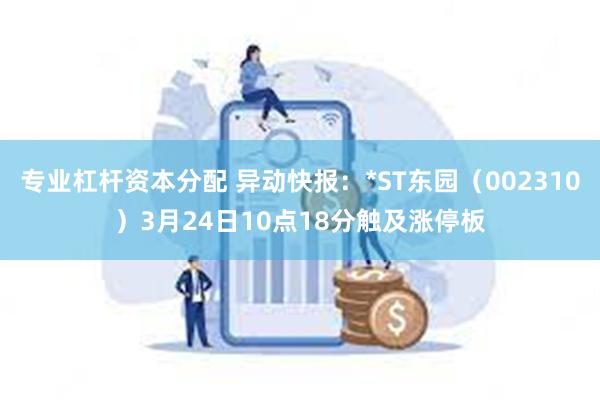 专业杠杆资本分配 异动快报：*ST东园（002310）3月24日10点18分触及涨停板