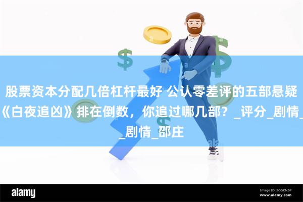 股票资本分配几倍杠杆最好 公认零差评的五部悬疑剧，《白夜追凶》排在倒数，你追过哪几部？_评分_剧情_邵庄
